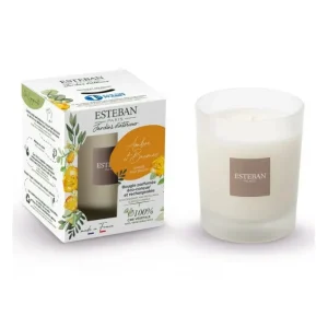 ESTEBAN Bougies Parfumées | Bougies Décoratives<Bougie parfumée 180 gr Ambre et Baume,