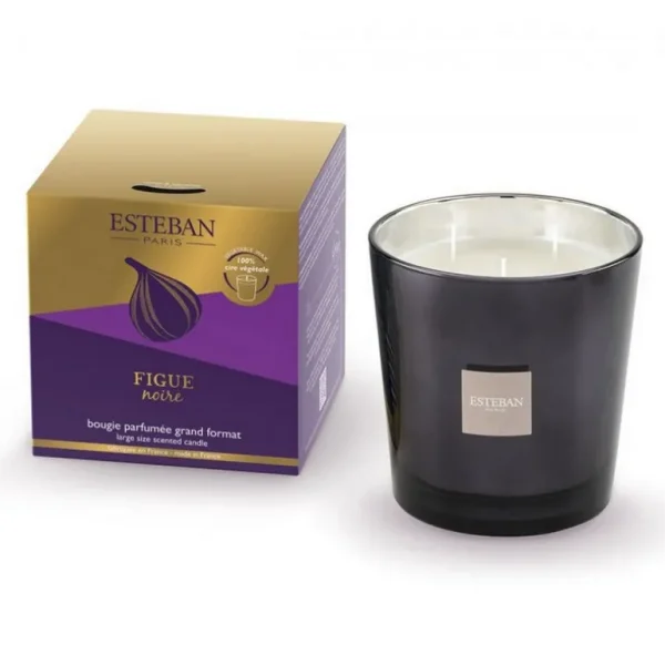 ESTEBAN Bougies Parfumées | Bougies Décoratives<Bougie parfumée 450 gr Figue Noire,