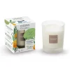 ESTEBAN Bougies Parfumées | Bougies Décoratives<Bougie parfumée 180 gr Orange et Thé vert,