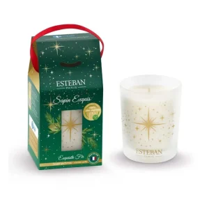 ESTEBAN Bougies Parfumées | Bougies Décoratives<Bougie parfumée 180g Sapin Exquis,