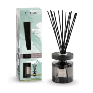 ESTEBAN Diffuseurs De Parfum D'Intérieur<Bouquet parfumé Ellipse Pur Lin,