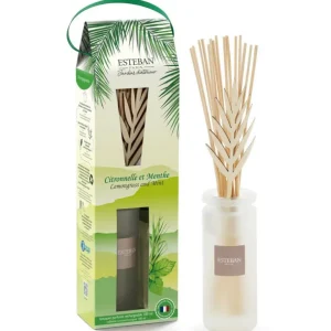 ESTEBAN Diffuseurs De Parfum D'Intérieur<Bouquet parfumé 100ml Citronnelle et Menthe,