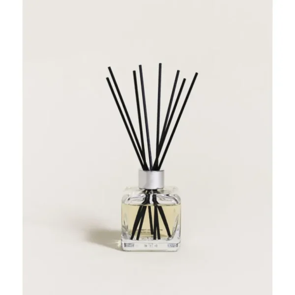 MAISON BERGER Diffuseurs De Parfum D'Intérieur<Bouquet parfumé poussière d'ambre,