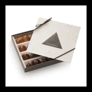 Vincent Guerlais Le Chocolat<Coffret 20 Guerlingots,