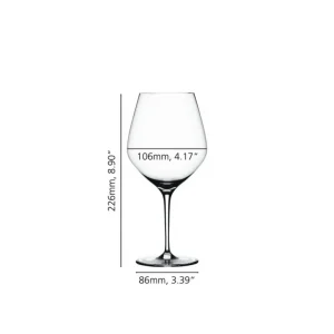 SPIEGELAU Verres Oenologiques<Coffret 4 verres à Bourgogne Authentis,