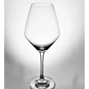 SCHOTT ZWIESEL Verres Oenologiques | Verres À Vin<Coffret 6 verres à dégustation One,