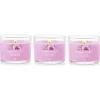 Yankee Candle Bougies Parfumées<Coffret de 3 Bougies Votives Parfumées Orchidée Sauvage,