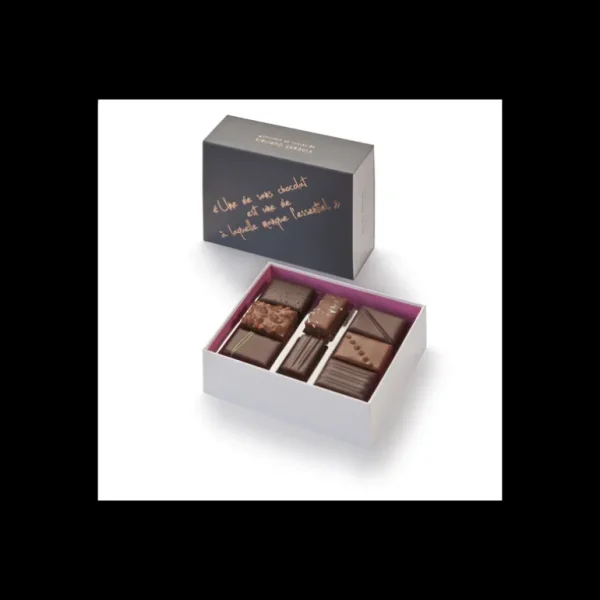 Vincent Guerlais Le Chocolat<Coffret de mignardises 16 chocolats,