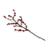 Gry & Sif Objets Insolites<Grande Branche Berries,