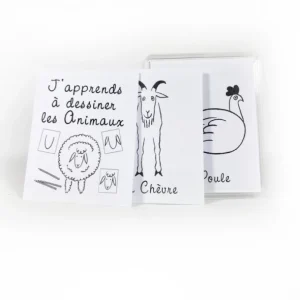 Marc Vidal Les Jeux D'Intérieur<J'apprends à dessiner les animaux,