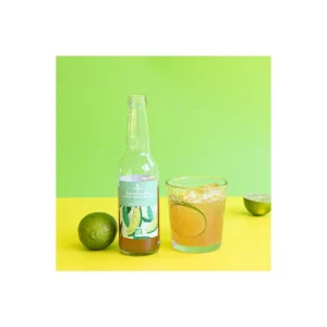 Atika Les Autres Boissons<Kombucha Citron Vert et Menthe Bio 33cl,