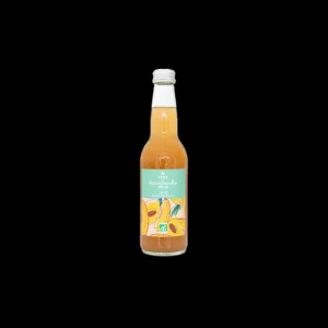 Atika Les Autres Boissons<Kombucha Pêche Bio 33cl,