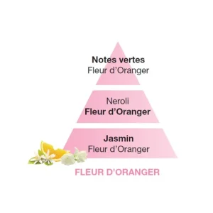 MAISON BERGER Parfums D'Intérieur<Parfum Fleur d'oranger 500 ml,