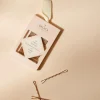 Bachca Les Accessoires<Pinces Guiches x24,