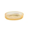 Andrea House Coin Lavabo<Porte-savon Strié Gold en verre,