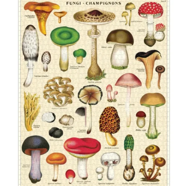 Cavallini & Co Les Jeux D'Intérieur<Puzzle 1000 pièces Champignons,