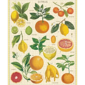 Cavallini & Co Les Jeux D'Intérieur<Puzzle 1000 pièces Citrus,