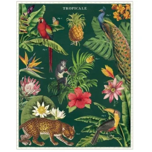 Cavallini & Co Les Jeux D'Intérieur<Puzzle 1000 pièces Tropical,