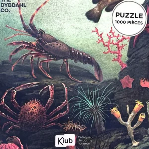 Kiub Les Jeux D'Intérieur<Puzzle de 1000 pièces Animaux Marins,