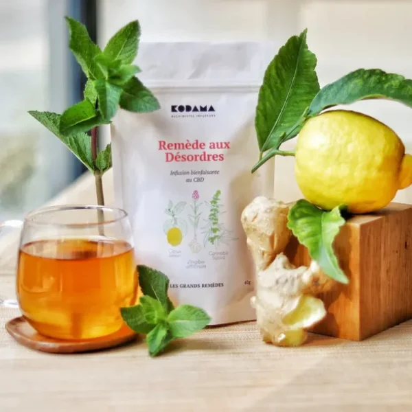 Kodama Paris Les Thés Et Tisanes<Remède aux désordres, Kodama