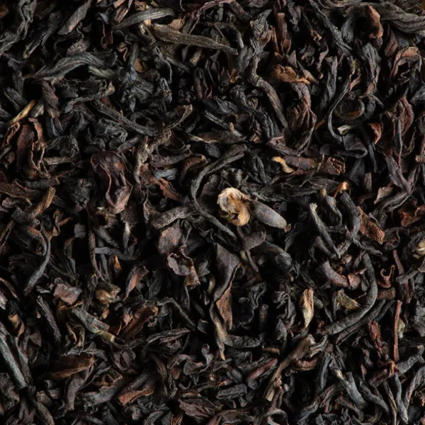 DAMMANN FRERES Les Thés Et Tisanes<Thé Darjeeling Bio en sachets, Dammann Frères