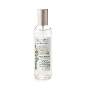 ESTEBAN Diffuseurs De Parfum D'Intérieur<Vaporisateur 100 ml Fraîcheur de Lin,